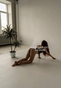 Проститутка Алматы Анкета №493048 Фотография №3717702